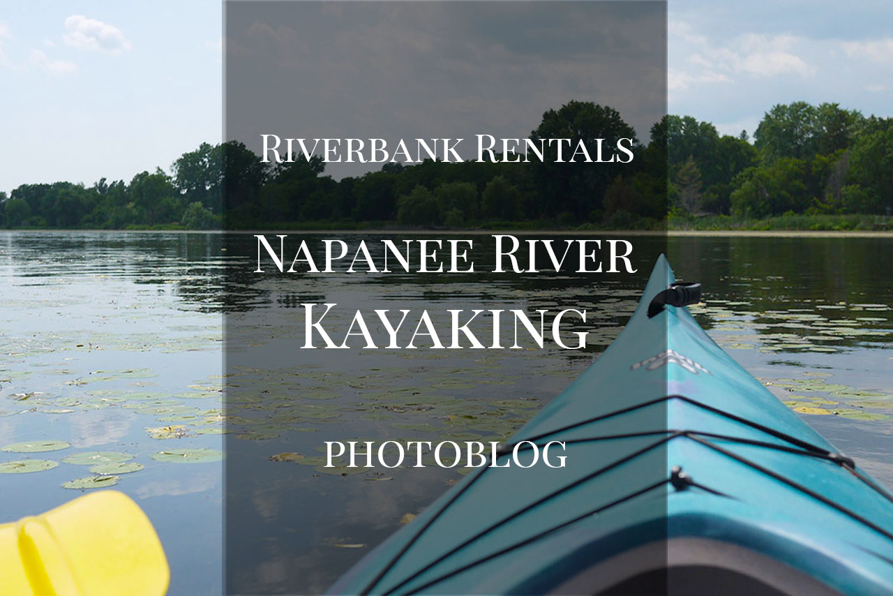 Smooth Summer Paddle on the Napanee River with Riverbank Rentals