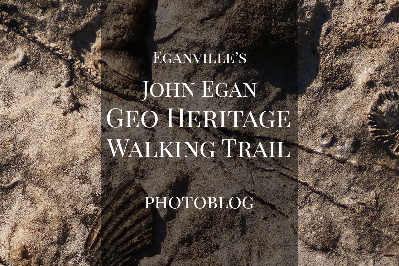 Fossil Hunting on the Geoheritage Trail in Eganville