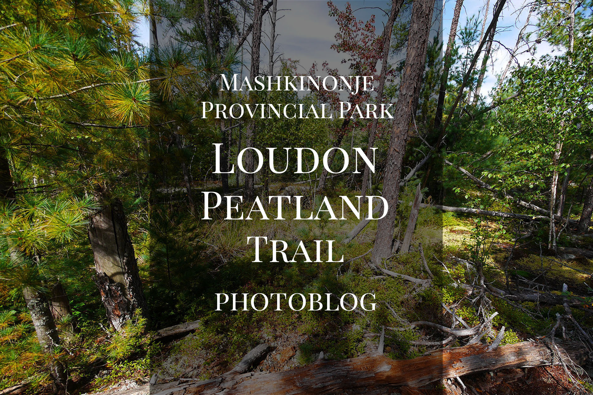 Easy Hike on Loudon Peatland Trail at Mashkinonje Provincial Park